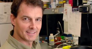 Stanford scientists describe stem-cell and gene-therapy advances in ...