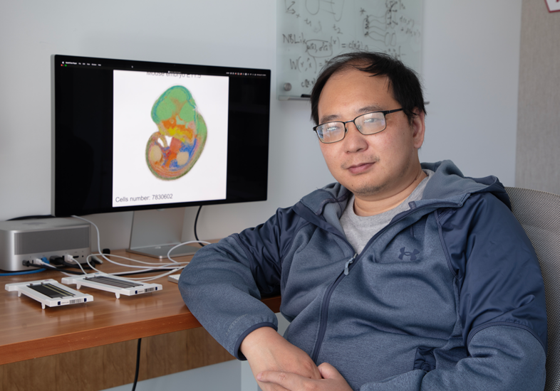 Xiaojie Qiu sits in front of his computer showing a 3D model of heart cells.