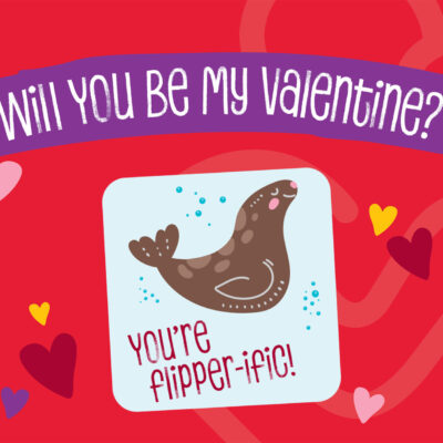 Seal Valentine - You're Flipper-ific!