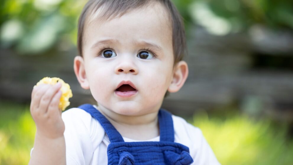 Toddler sitting in grass