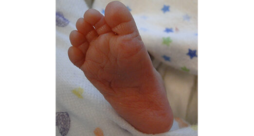 blog_foot.jpg