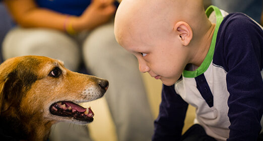 you_-_kids_-_pet1.jpg