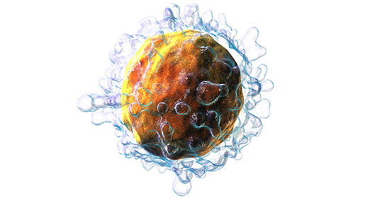 tcell_blog.jpg