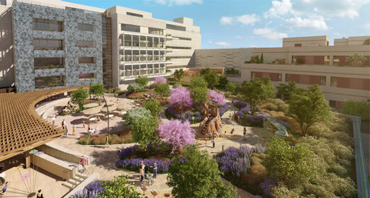 dunlevie_garden.jpg
