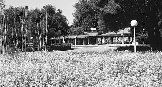 1959.jpg