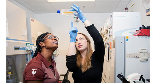 Two scientists in a lab looking at a beaker.