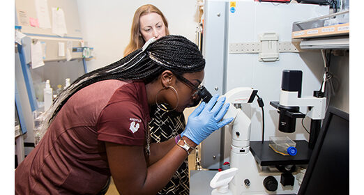 One scientist in a lab looking into a microscope, their colleague is observing them.
