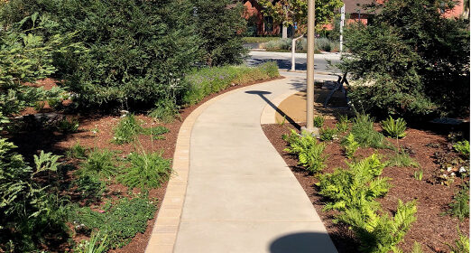 brick_path_1.jpg