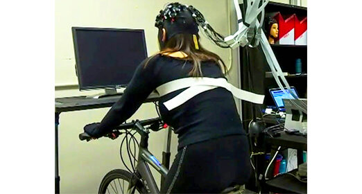 specialized2_main.jpg