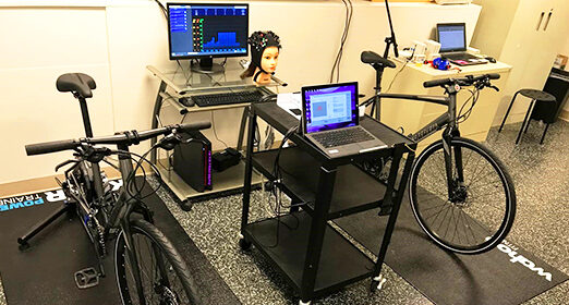 specialized3_main.jpg