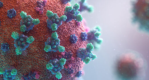 virus.jpg