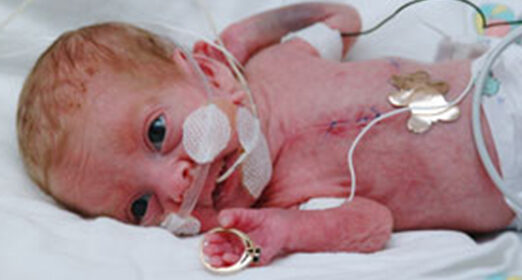 2002_blog_522x280.jpg