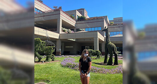 sophia_blog_522x280.jpg