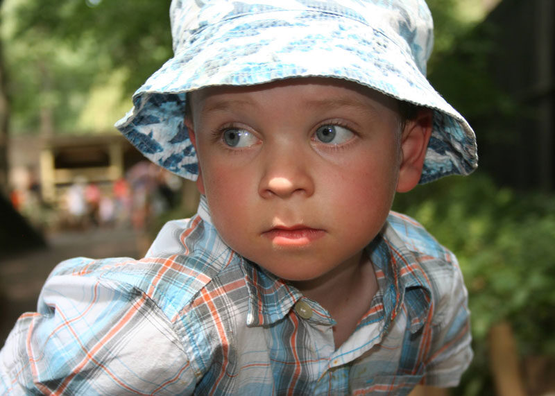Toddler Will