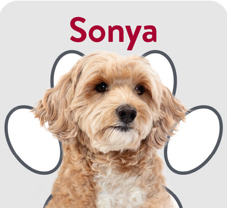 Packard Paws Trading Cards_Sonya 2