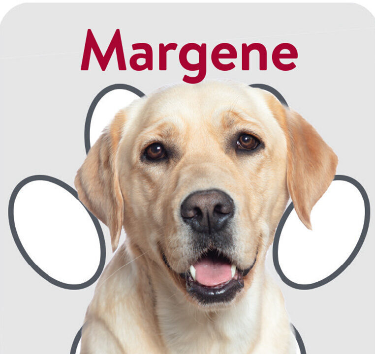 Packard Paws Trading Cards_Margene 1