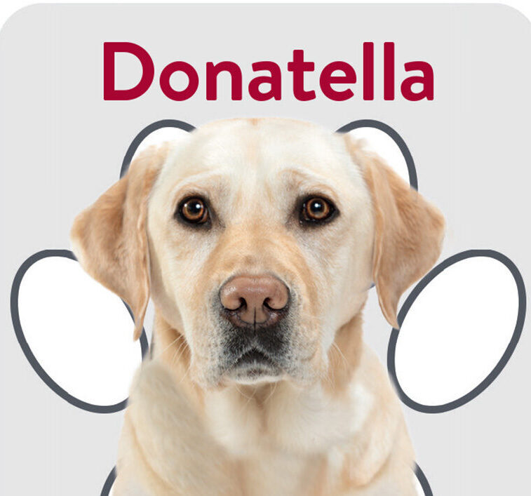 Packard Paws Trading Cards_Donatella 1