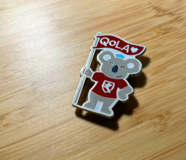 qola pin wordpress