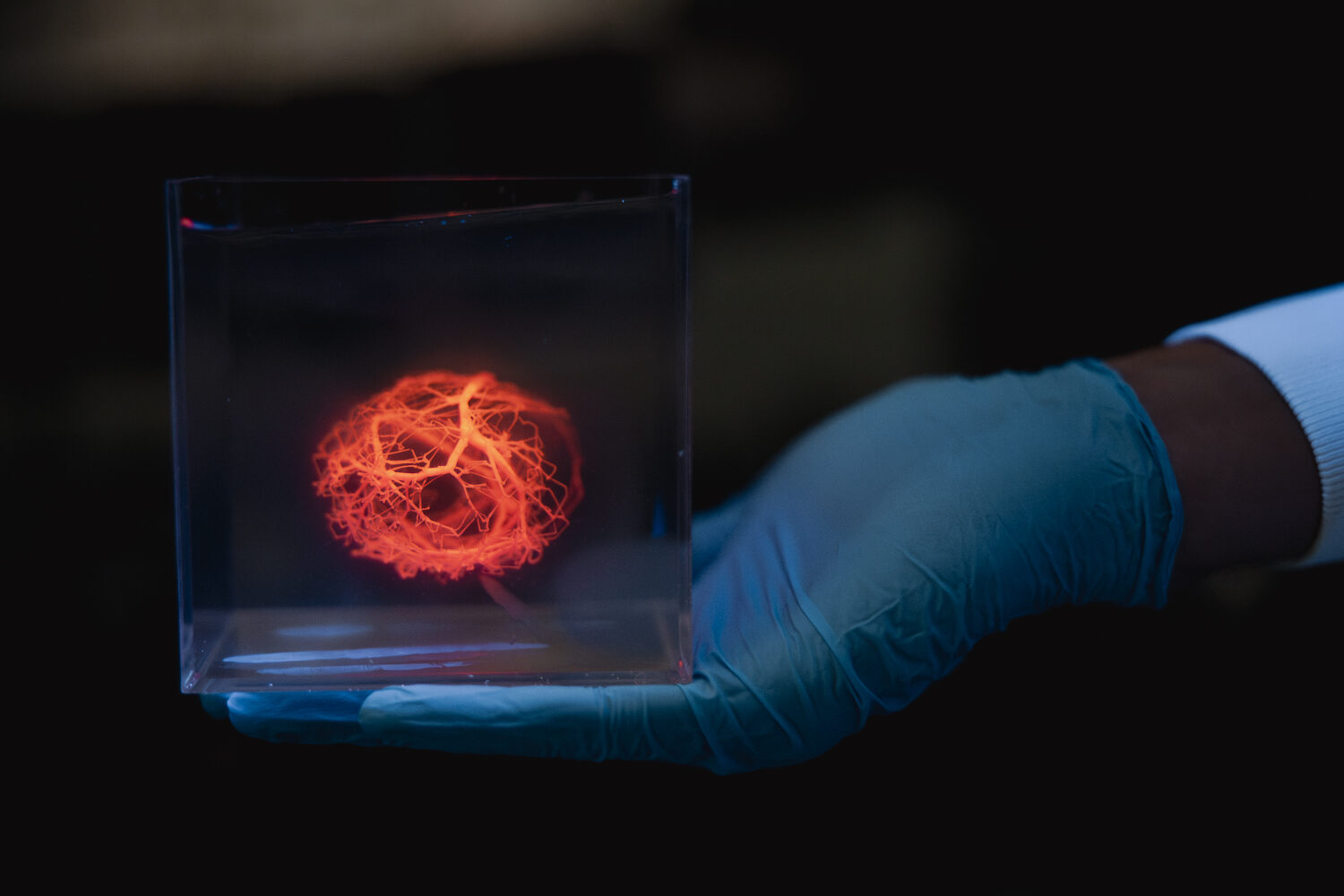 A model of a vascular tree printed using a 3D bioprinter