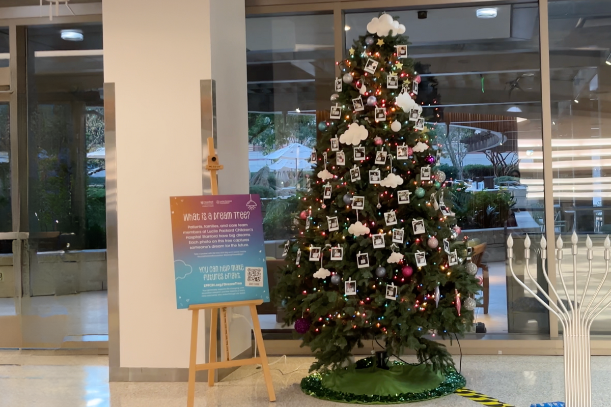 dream tree banner 2