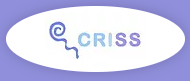 criss.png