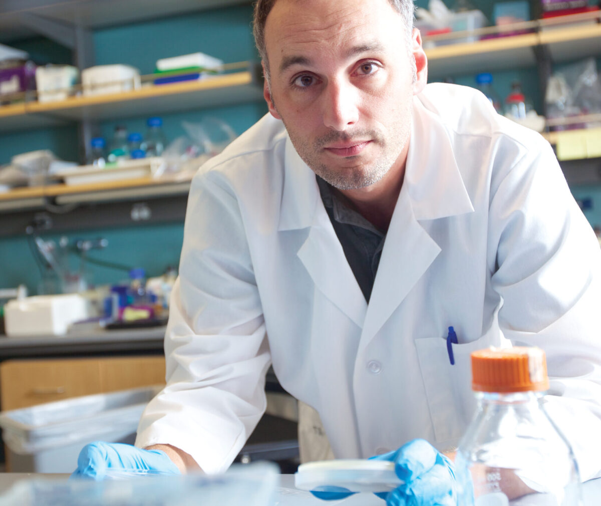 Julien Sage, PhD works in his cancer lab.