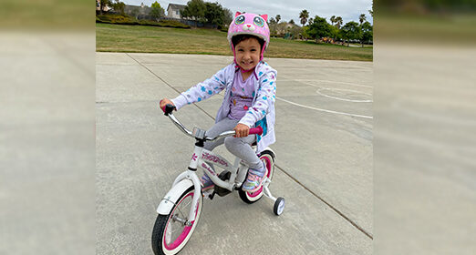 victoriabike_blog_522x280