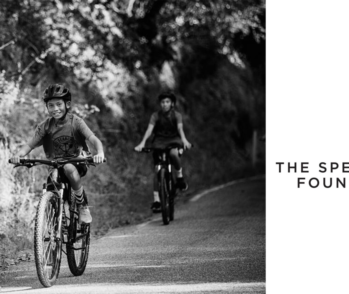the_specialized_foundation_main.jpg