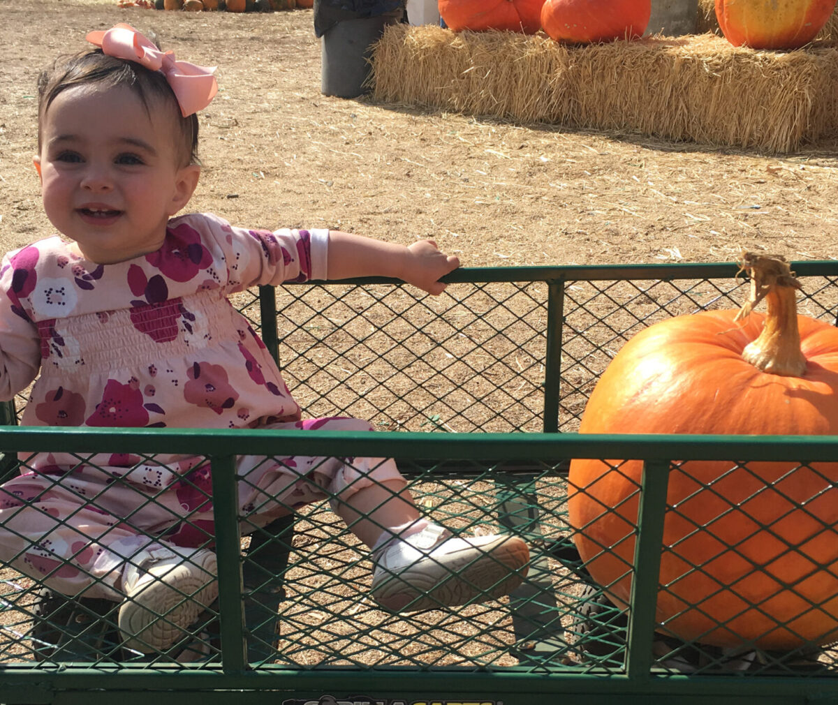 2019pumpkinpatch_main.jpg