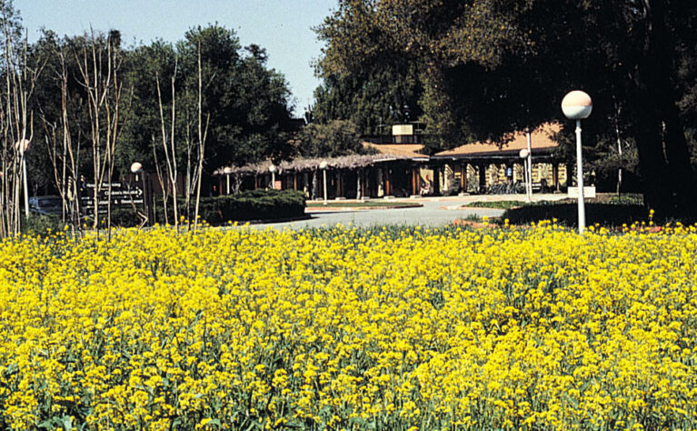 CHAS - Children's Hospital at Stanford, the predecessor to Lucile Packard Children's Hospital.In 1969, the $5 million, 60-bed Children’s Hospital at Stanford opened, replacing the Con Home and further expanding teaching and research in children’s health.